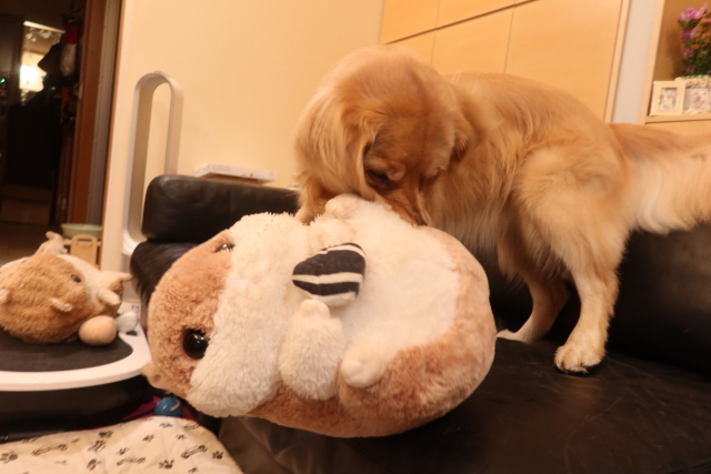 ファイル 8162-2.jpg