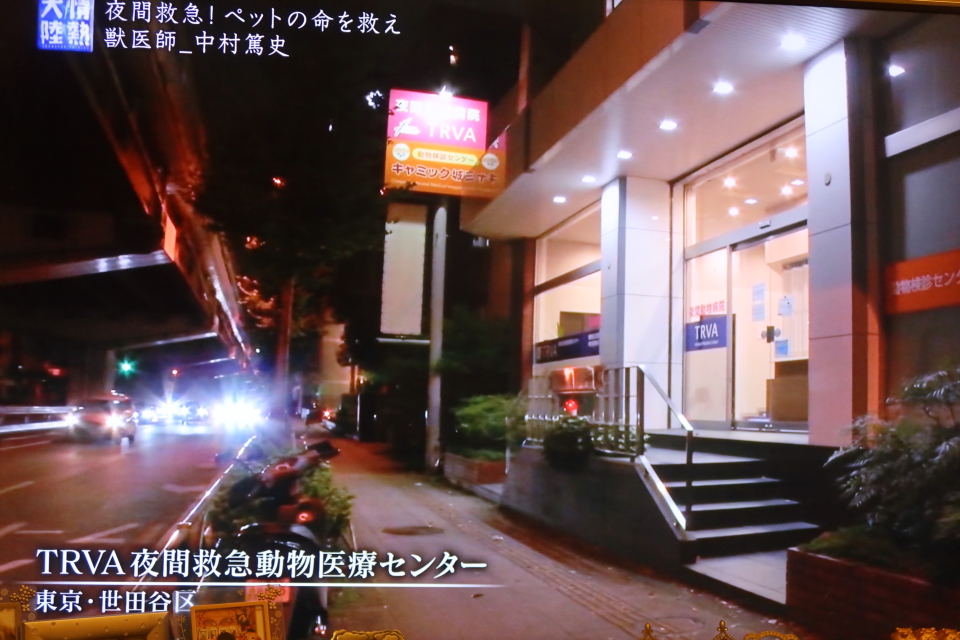 ファイル 8163-2.jpg