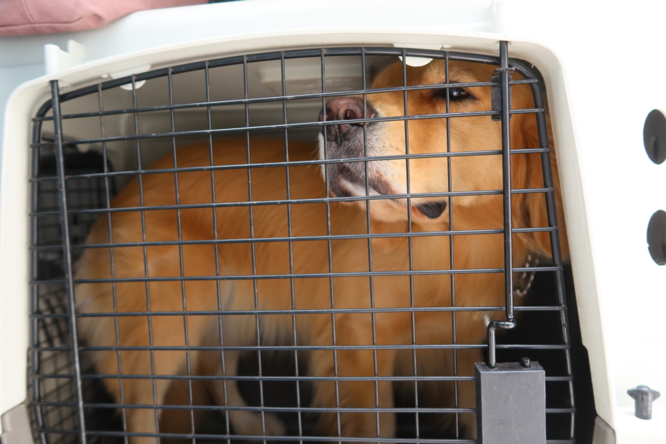 ファイル 8164-1.jpg