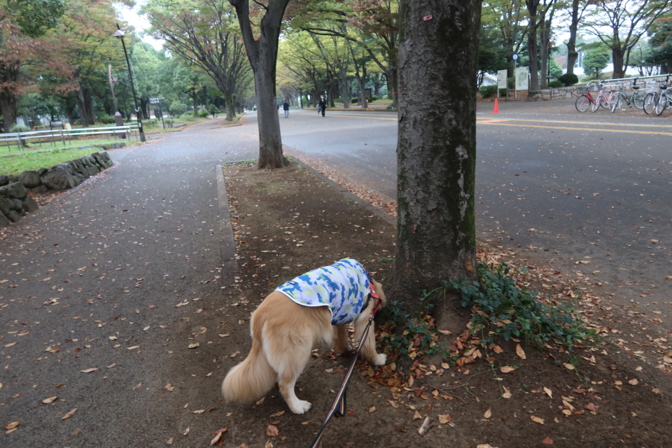 ファイル 8164-3.jpg