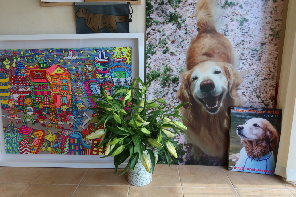 ファイル 8164-5.jpg