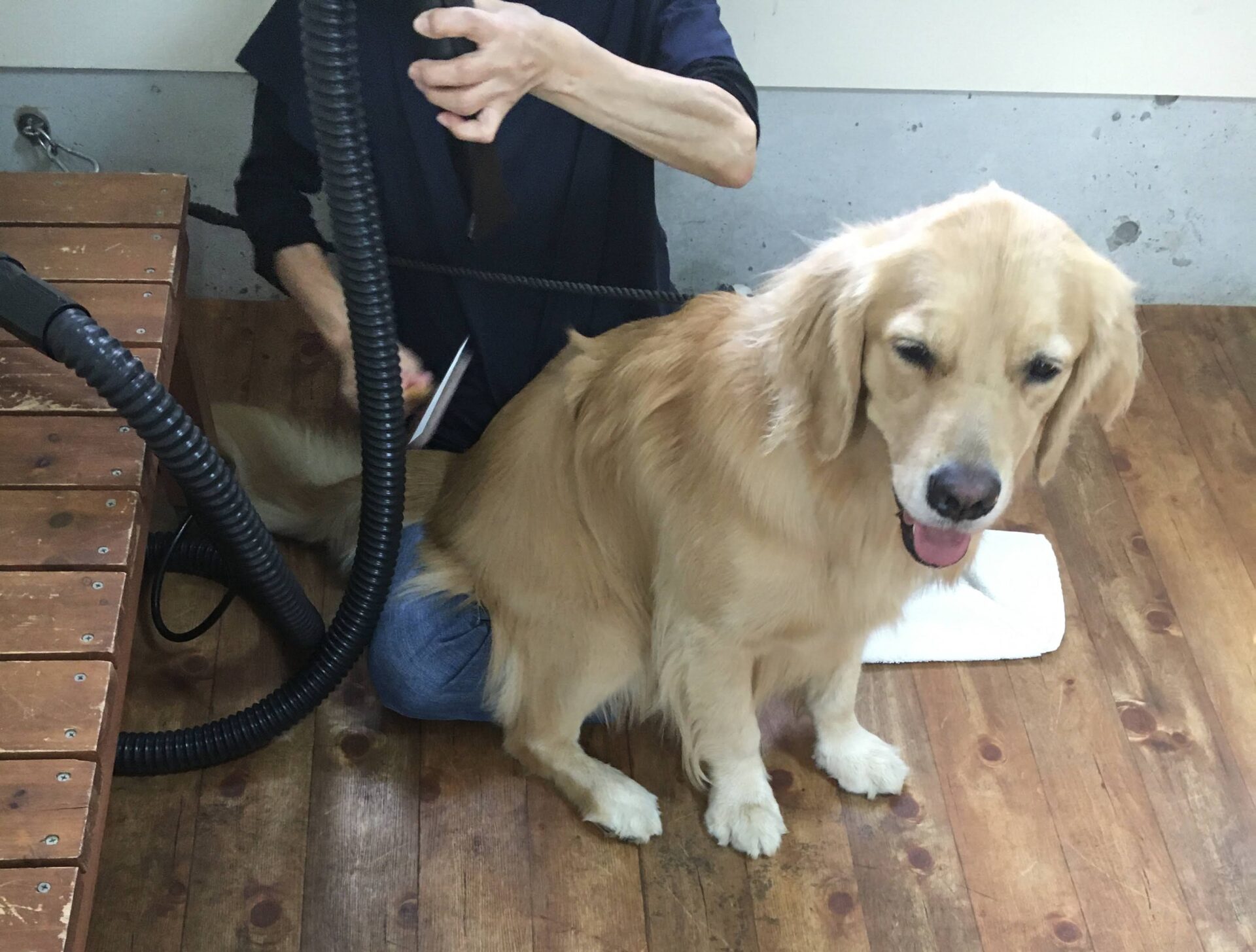 ファイル 8165-2.jpeg