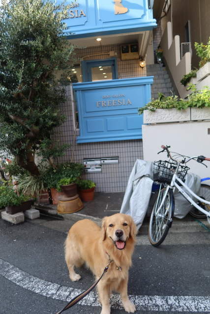 ファイル 8166-1.jpg