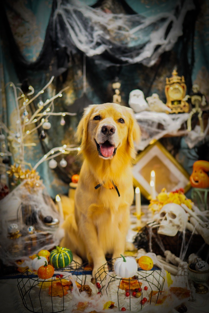 ファイル 8166-3.jpg