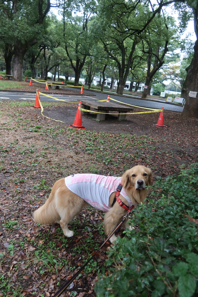 ファイル 8167-1.jpg