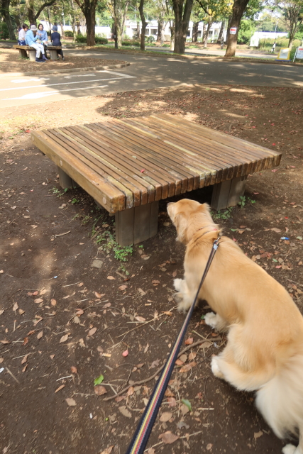 ファイル 8167-2.jpg