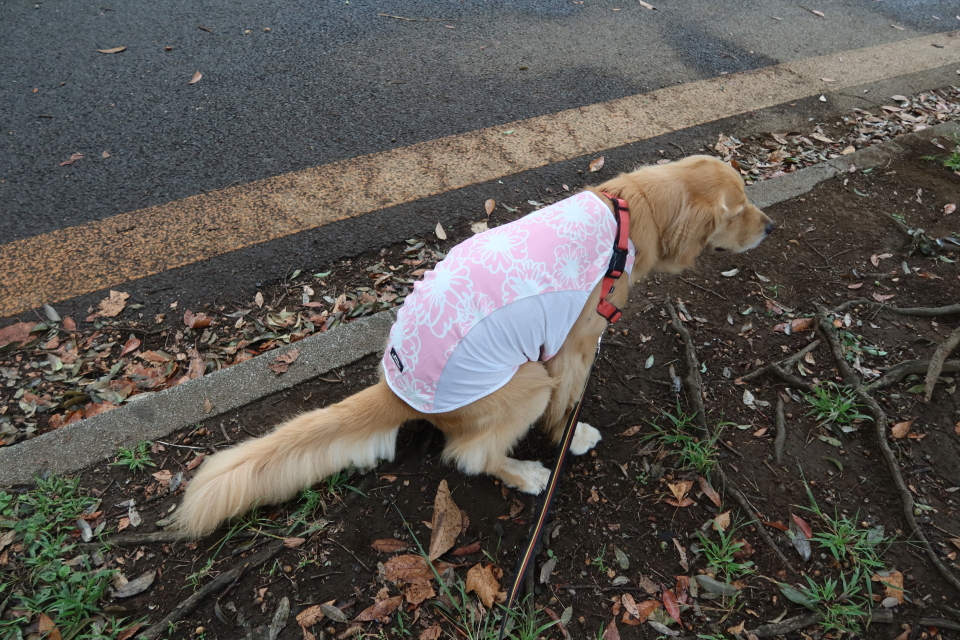 ファイル 8167-5.jpg