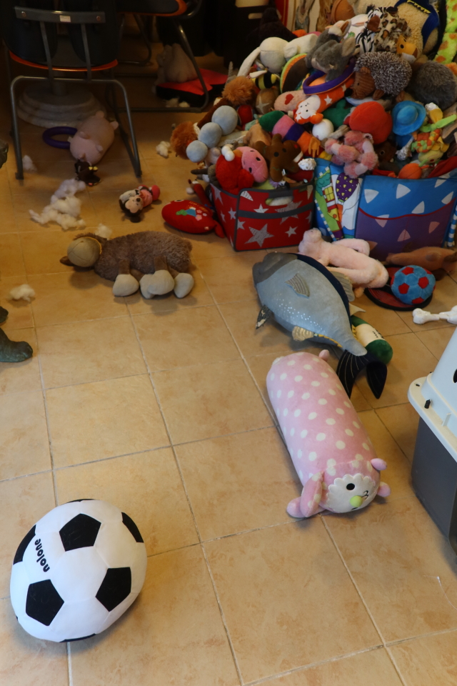 ファイル 8168-1.jpg