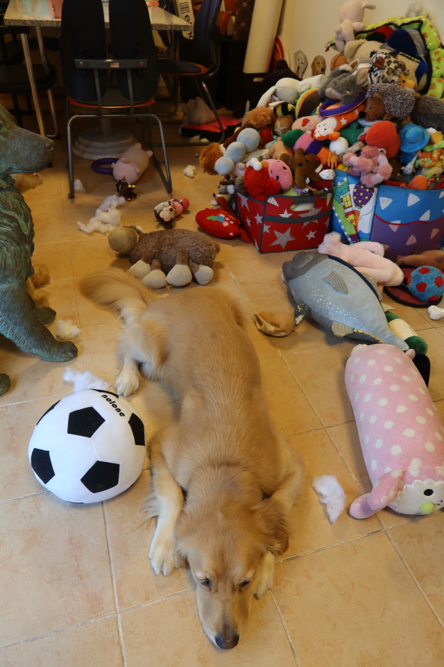 ファイル 8168-3.jpg