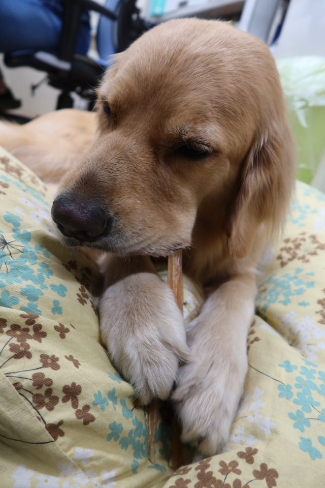 ファイル 8168-5.jpg