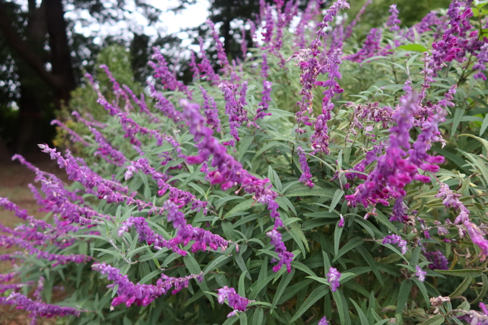 ファイル 8169-2.jpg