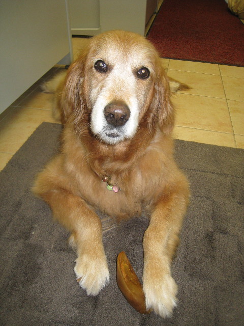 ファイル 817-1.jpg