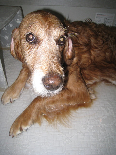 ファイル 817-3.jpg