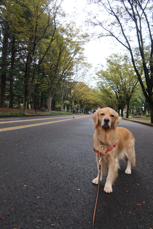 ファイル 8170-1.jpg