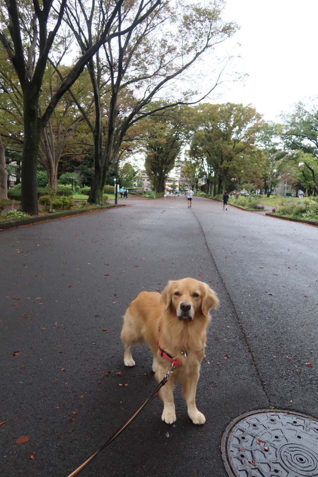 ファイル 8170-2.jpg