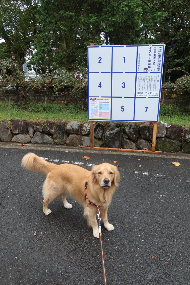 ファイル 8170-4.jpg