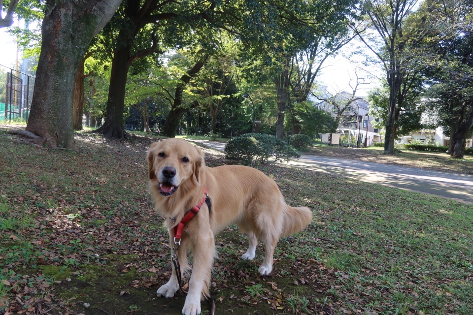 ファイル 8171-1.jpg