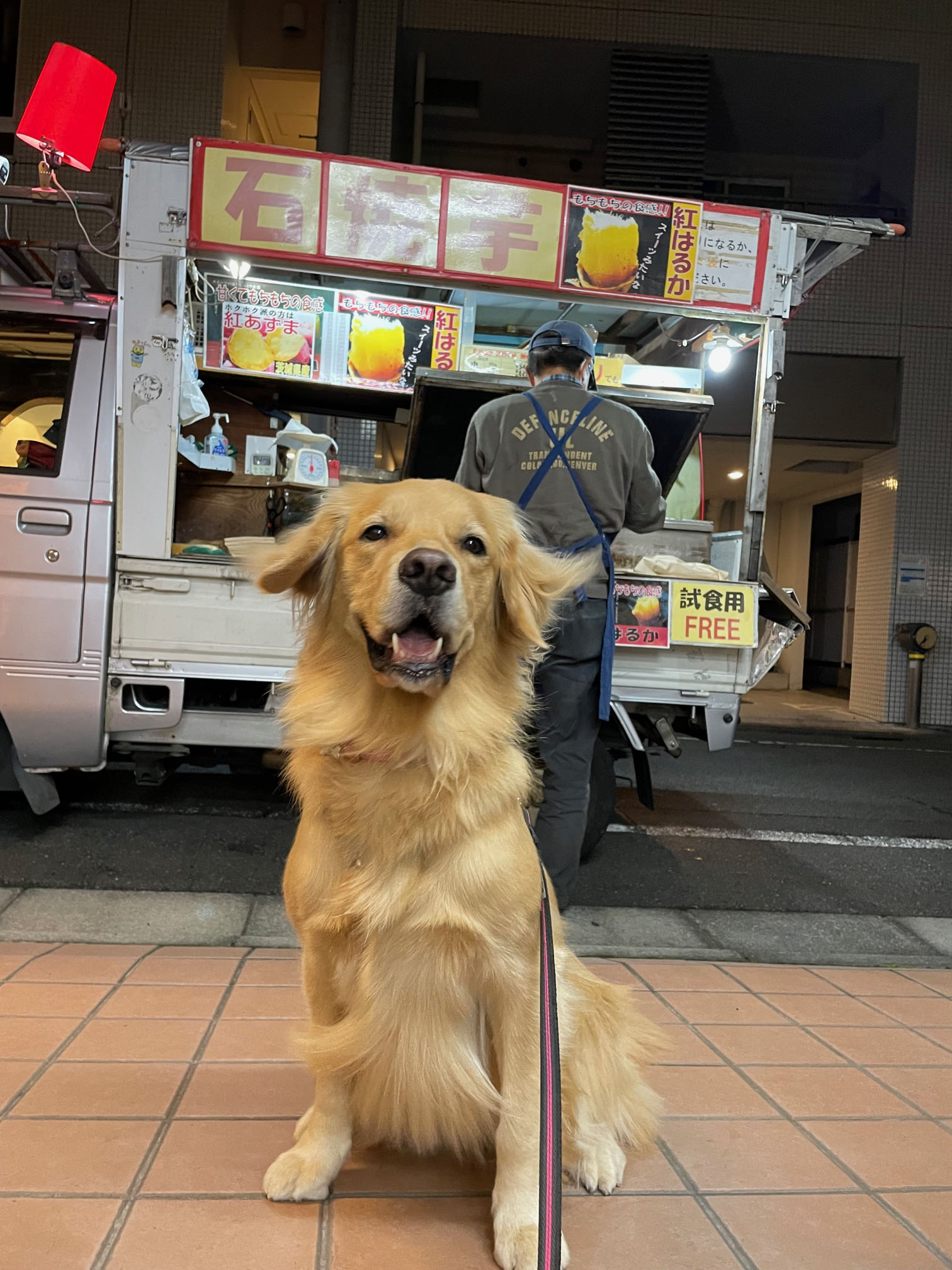 ファイル 8171-3.jpeg