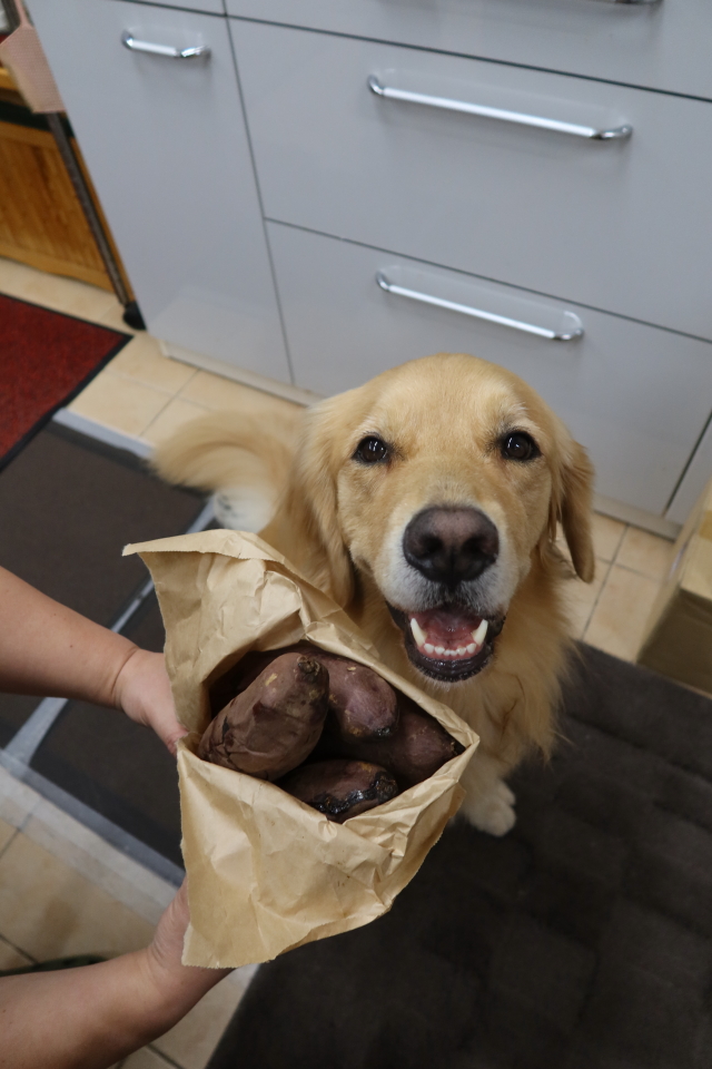 ファイル 8171-4.jpg