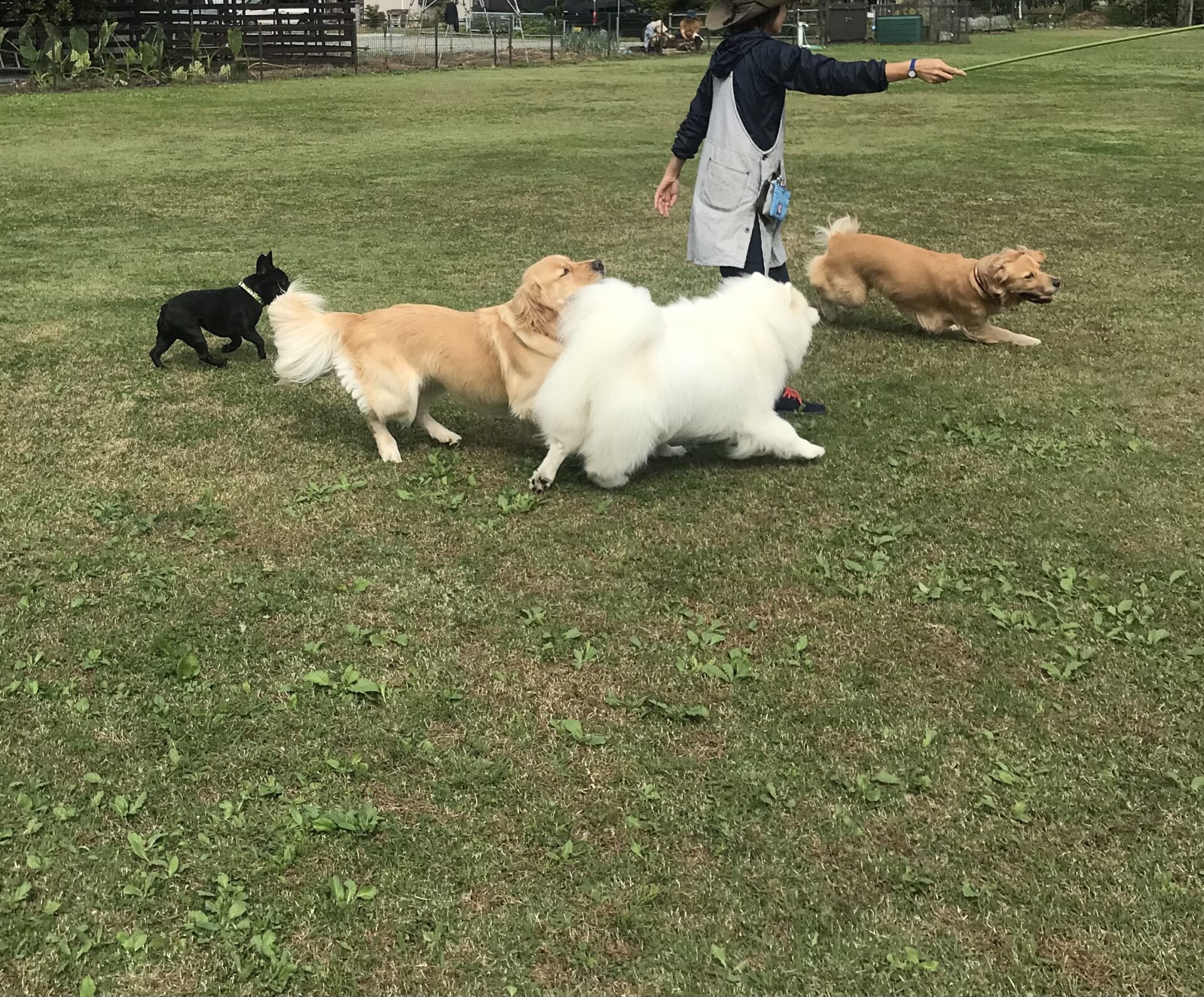 ファイル 8172-2.jpeg