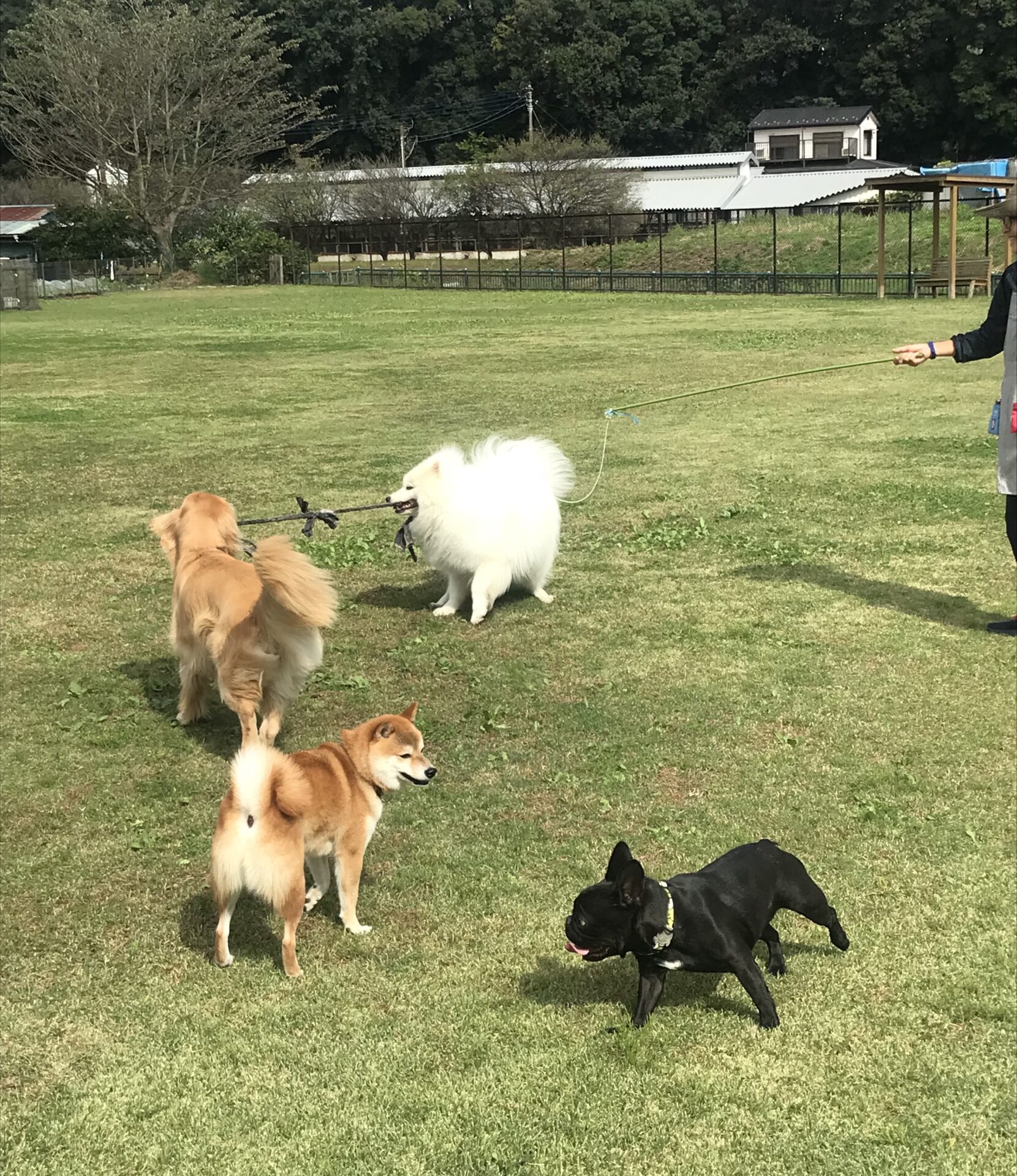 ファイル 8172-3.jpeg