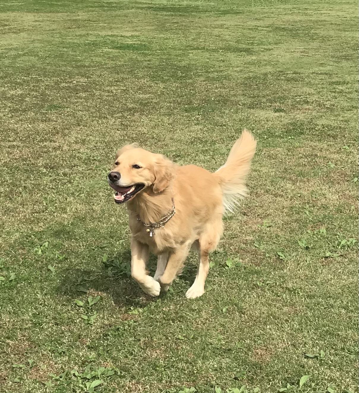 ファイル 8172-4.jpeg