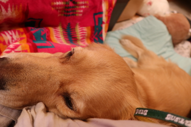 ファイル 8173-5.jpg