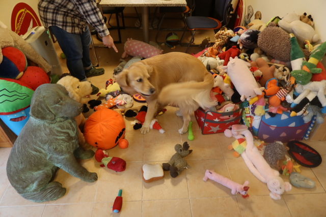 ファイル 8174-3.jpg