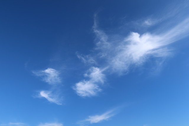 ファイル 8175-1.jpg