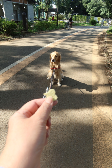 ファイル 8175-2.jpg