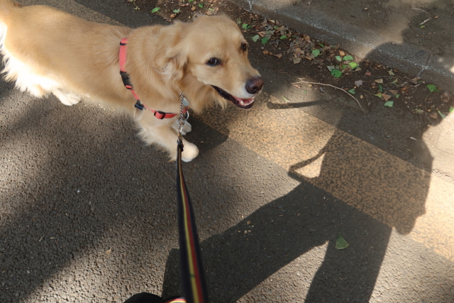 ファイル 8175-3.jpg