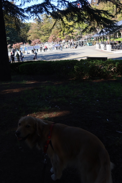 ファイル 8175-4.jpg