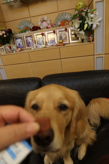 ファイル 8175-5.jpg