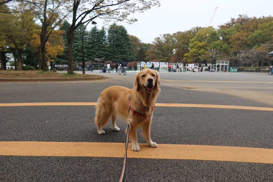 ファイル 8176-1.jpg