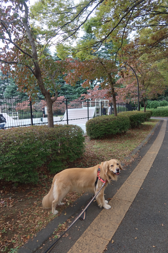 ファイル 8176-2.jpg