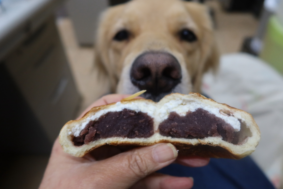 ファイル 8176-4.jpg