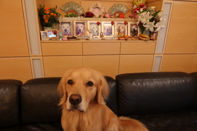 ファイル 8176-5.jpg