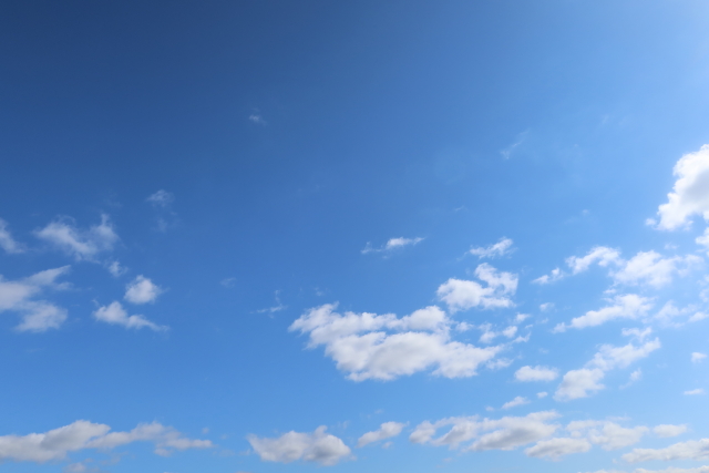 ファイル 8178-1.jpg