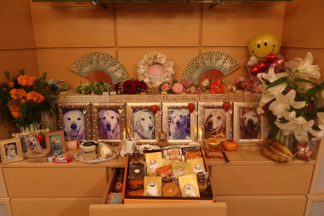 ファイル 8178-5.jpg