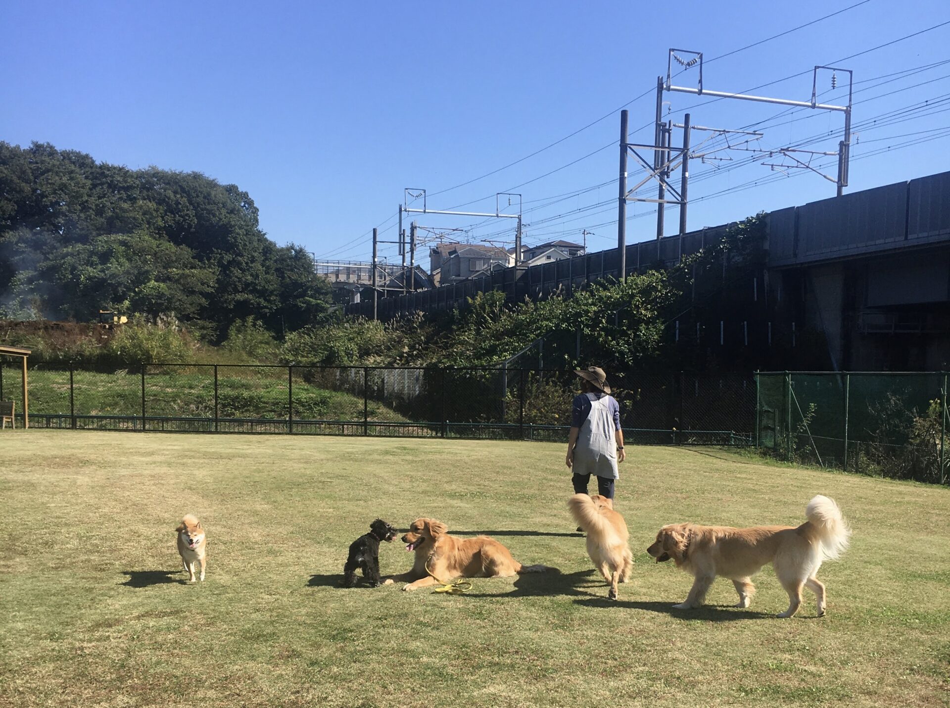 ファイル 8179-1.jpeg