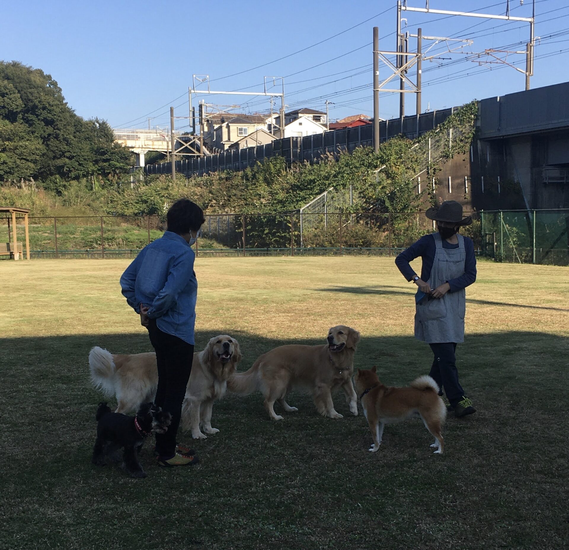 ファイル 8179-2.jpeg