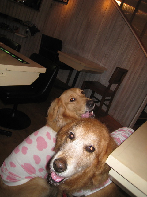 ファイル 818-4.jpg