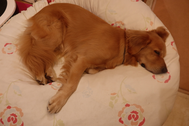 ファイル 8180-1.jpg