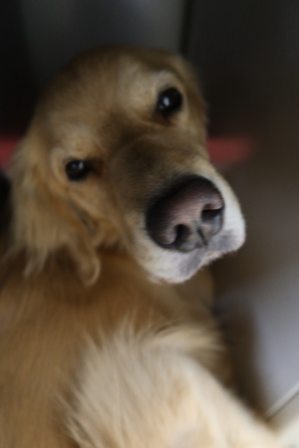 ファイル 8180-2.jpg