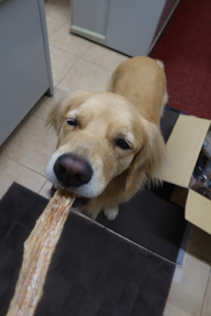 ファイル 8180-3.jpg