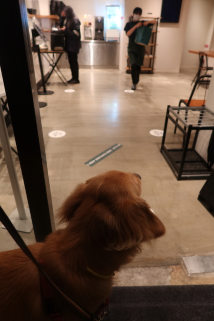 ファイル 8180-5.jpg