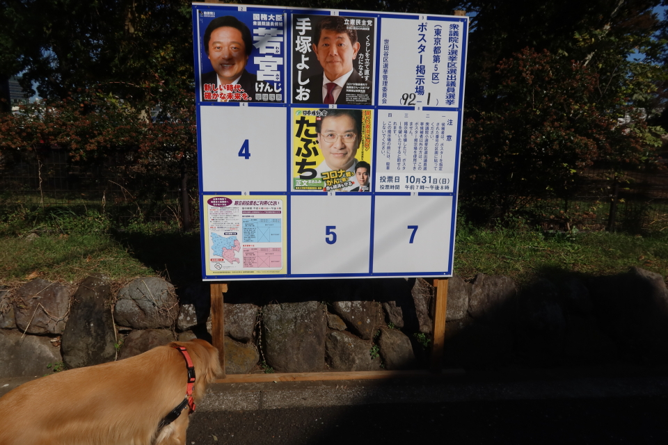 ファイル 8181-2.jpg