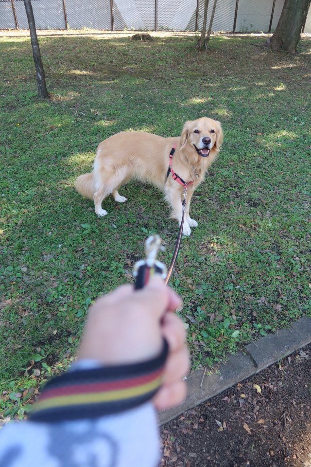 ファイル 8181-5.jpg