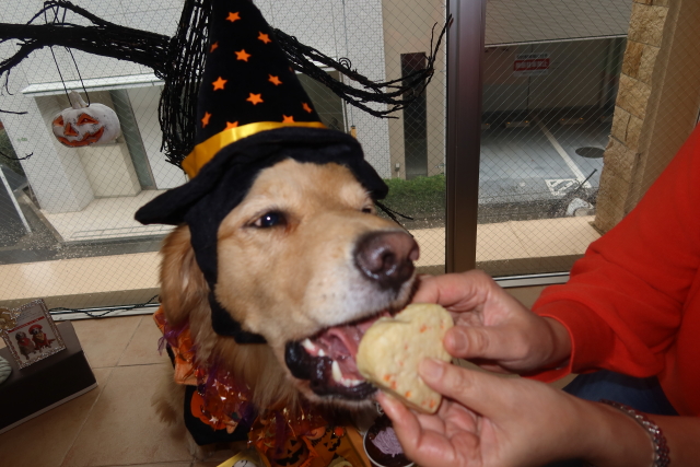 ファイル 8183-4.jpg