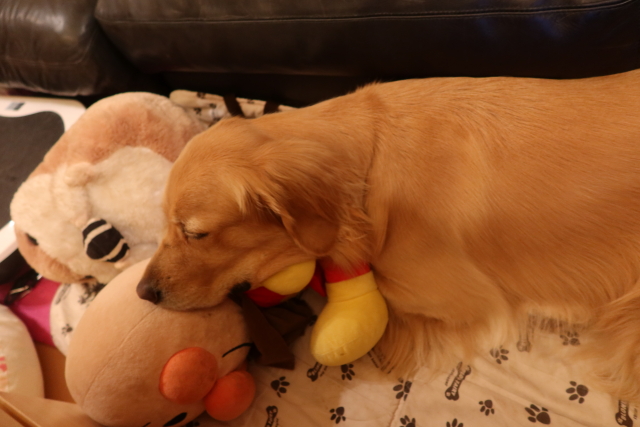 ファイル 8184-3.jpg